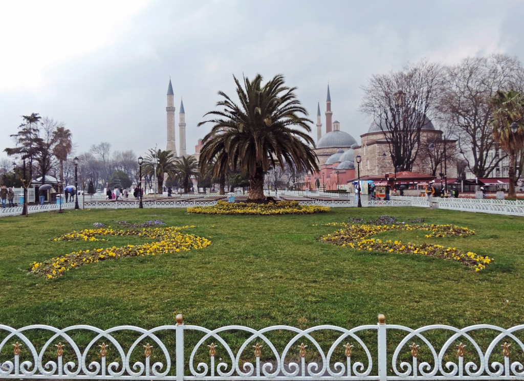 Blick auf Palme vor Hagia Sophia